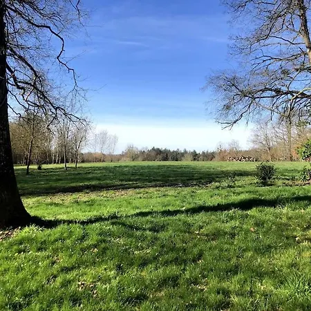 Hébergement de vacances Petite Maison De Charme 19ème Vaas